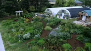 UNL Intern & BYF Garden Timelapse