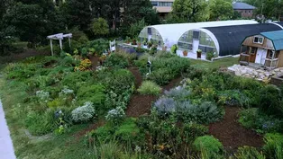 UNL Intern & BYF Garden Timelapse