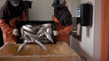 Video thumbnail: Native Report Opening Doors of Economic Opportunity