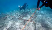 Coral Reefs of Vanuatu