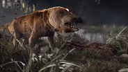 Walking Whale Ancestor