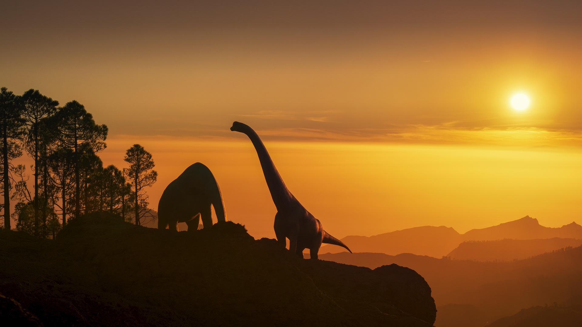 Discover the story of Lusotitan, one of the largest dinosaurs ever.