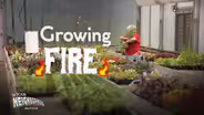 A new twist on some of Jersey’s most beloved veggies