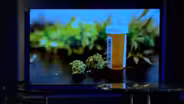Beshear Outlines Process for Medical Cannabis