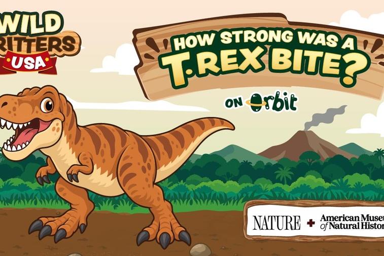 How Strong Was a T. Rex Bite? | Wild Critters USA Poster