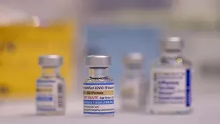 What to know about new COVID variants, bird flu and measles