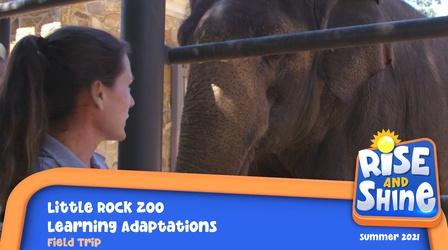 Video thumbnail: Rise and Shine Field Trip Little Rock Zoo Learning Adaptations