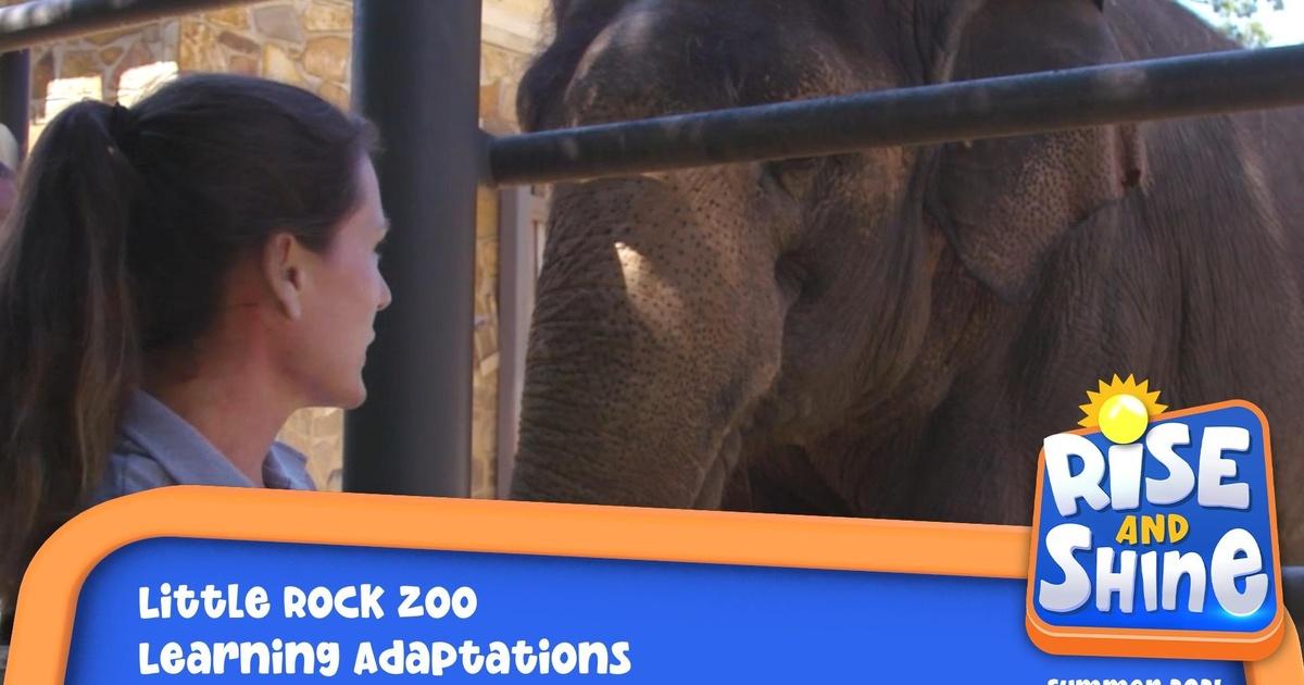 Rise and Shine Field Trip Little Rock Zoo Learning Adaptations Season 2021 PBS