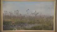 Appraisal: 1986 Sam Vinikoff Everglades Oil Painting