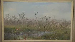 Appraisal: 1986 Sam Vinikoff Everglades Oil Painting