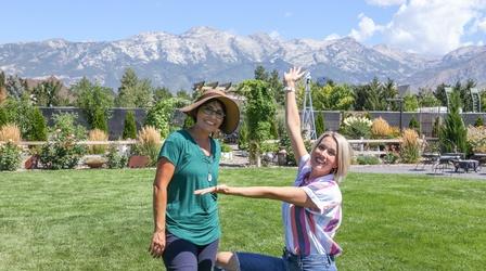 Video thumbnail: Modern Gardener Tips for Landscaping on a Budget