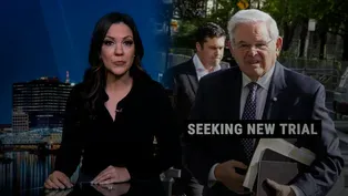 Menendez evidence error at center of appeal