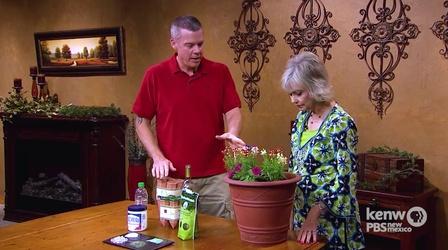 Video thumbnail: Creative Living with Sheryl Borden Creative Living with Sheryl Borden