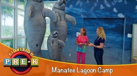 Video thumbnail: KidVision Pre-K Manatee Lagoon Camp | Virtual Field Trip
