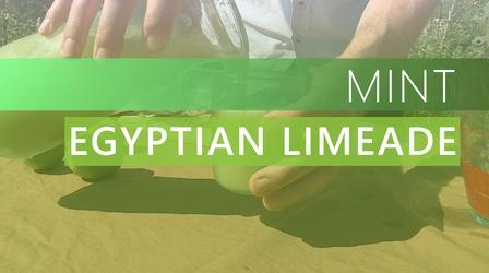 Video thumbnail: The Local Feed Mint | Egyptian Limeade