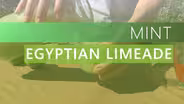 Mint | Egyptian Limeade