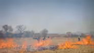 After decades of fire suppression, experts eye prescribed burns