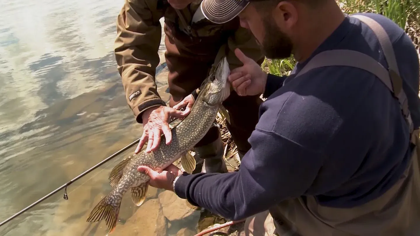 Best of Pike and Muskie