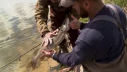 Best of Pike and Muskie