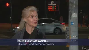 Dunning Read Conservation Area Highlight of Neighborhood