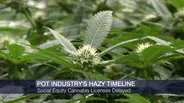 Social Equity Cannabis Licenses Delayed