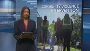 How Local Organizations Are Working With Communities to Stem Gun Violence