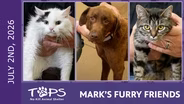 7/9/2026 | Itsy Bitsy, Bobby and Justice | Mark's Furry Friends