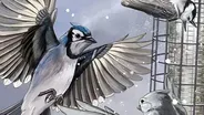 Bird Cams Lab Crash Course - English