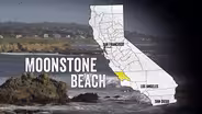 Moonstone Beach: Where Elephant Seals Roam
