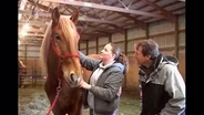 SHARE Horse Rescue