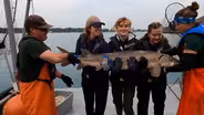 UP Walleye Fishing, Sturgeon Research