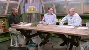Succulents & Pesticide Modes of Action