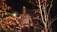 Releasing Trout, CWD Surveillance Zones, Squirrel Hunting, Raccoon Hunting