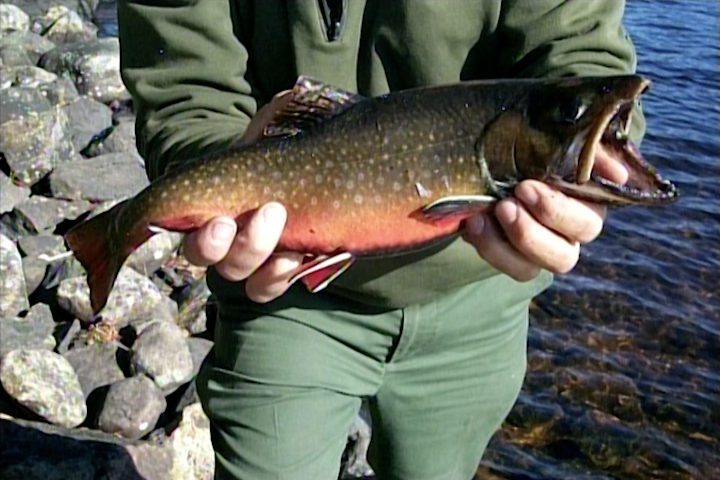 Heritage Trout & Salerno Family Deer Hunting