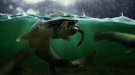 Video thumbnail: Eons Our Ancient Relative That Said 'No Thanks' To Life On Land