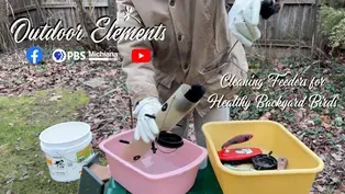 Cleaning Feeders for Healthy Backyard Birds