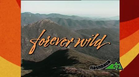 Video thumbnail: Flashback 57 Forever Wild (1985)