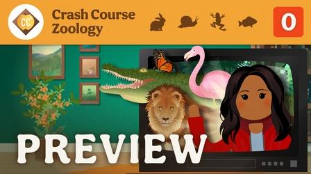 Video thumbnail: Crash Course Zoology Crash Course Zoology Preview