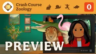 Crash Course Zoology Preview