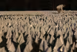 Grappling with grief as U.S. COVID deaths surpass 1 million