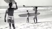 Beach Culture