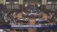 New Bills from Illinois Lawmakers’ Spring Session