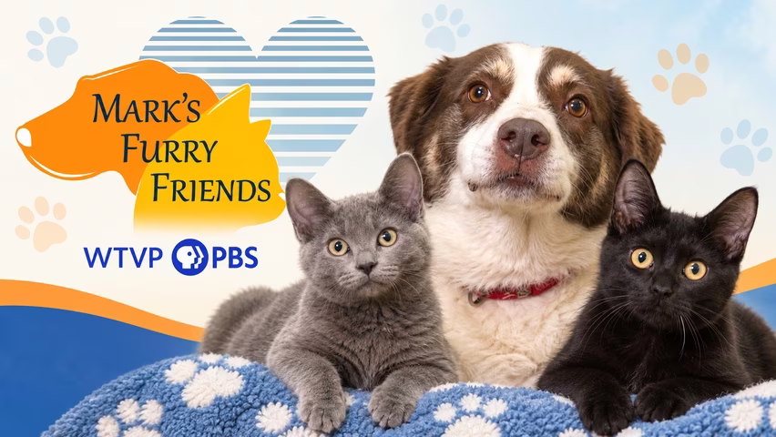 Mark’s Furry Friends