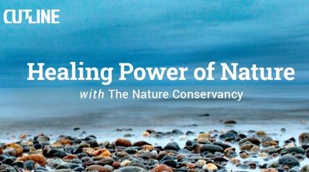 Video thumbnail: CUTLINE Healing Power of Nature with The Nature Conservancy