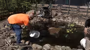 West Nile evidence rising in NJ mosquito 'hot spots'