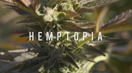 Video thumbnail: American Grown: My Job Depends on Ag Hemptopia Trailer