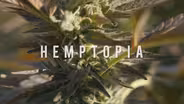 Hemptopia Trailer
