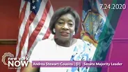 Interview with Senate Leader Andrea Stewart-Cousins
