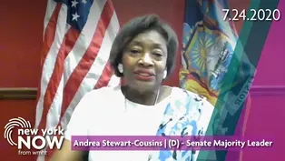 Interview with Senate Leader Andrea Stewart-Cousins