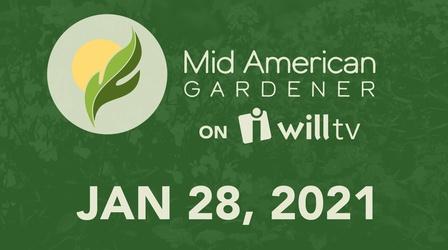 Video thumbnail: Mid-American Gardener January 28, 2021 - Mid-American Gardener